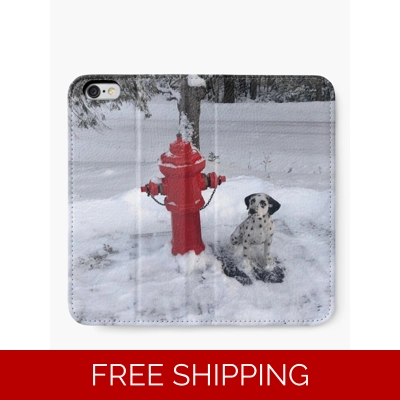 Le Studio Iphone Wallet Rush Signals Statue up at Le Studio Winter 2019